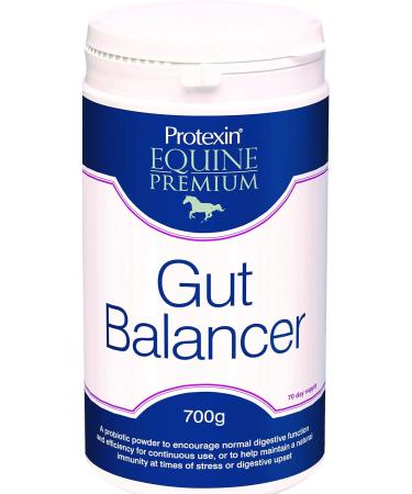 Protexin Equine Premium Acid Ease 3 Kg FE1016 & Gut Balancer 700 g - Buy Online on GoSupps.com