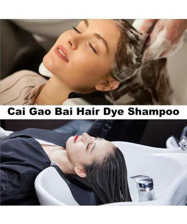  LearnLyrics Natural hair coloring shampoo hair coloring shampoo for women rich lathering shampoo that dyes your hair 450 ml | Long-lasting hair care shampoo without harsh chemicals - Buy Online on GoSupps.com