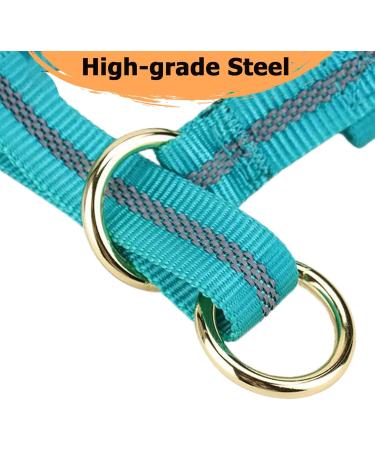 Barkeless Dog Handlebars | Reflective No-Pull Training Device for Medium & Large Dogs - Includes Training Instructions (Turquoise) - Buy Online on GoSupps.com
