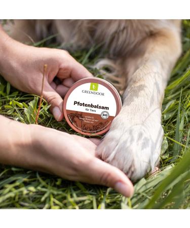 Greenendoor Natural Organic Paws 50ml - Vegan Paw Care for Dogs & Cats | Prevent Cracks & Protect Against Environmental Conditions - Buy Online on GoSupps.com