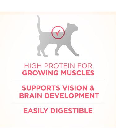 Purina ONE Healthy Kitten Formula - Nutrient-Rich Kitten Food for Growth - Buy Online on GoSupps.com