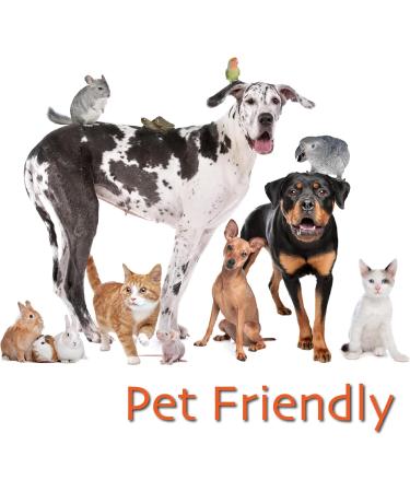 Super 7 mushroom extract powder - Fantastic Fungi -500 grams-Lion's Mane Reishi Turkey Tail Cordyceps Shiitake Chaga and Maitake (500 Grams) 500 g (Pack of 1) - Buy Online on GoSupps.com