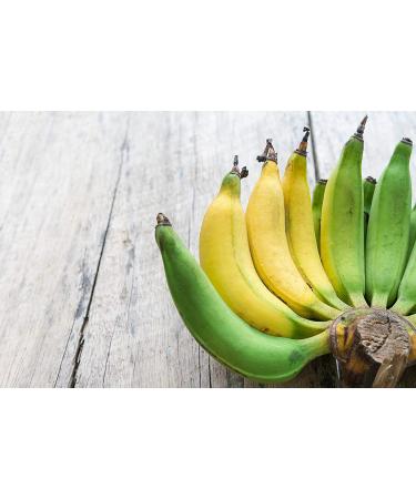 Banana Vital Simply Bananas Fruit Bar - Shelf-Stable, Gluten-Free, Vegan, Non-GMO - 18 Count (30g) Bars - Original Banana Flavor - Buy Online on GoSupps.com