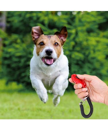 Dog Training Clickers with Wrist Strap Effective Pet Training Tools for Puppy or Cat Behavioral Training 4-Pack Colorful Sound Easy to Use Practical Button Clicker - Buy Online on GoSupps.com