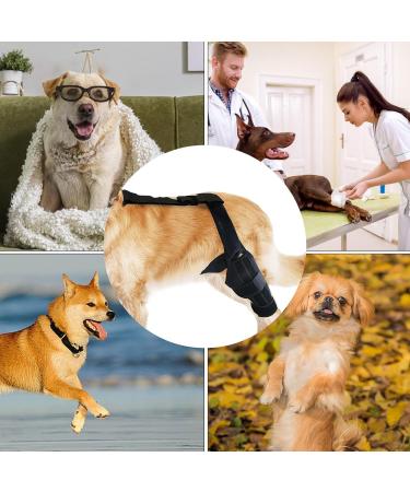 Rear Leg Braces for Small Dogs | Dog ACL Knee Support Brace - Neoprene Hip Brace Support Dog Knee Brace Adjustable Traction Belt for Cruciate Ligame for Cruciate Ligament Injury for Torn ACL Leg L left - Buy Online on GoSupps.com