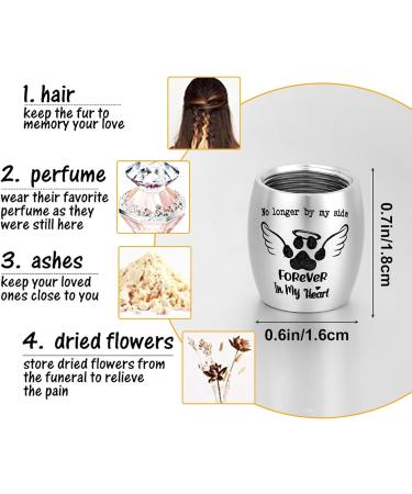 Partideal Pet Urns Keychain Dog Paw Cremation Urn Keyring Double Sided Dog Urn Memorial Keychain Always in My Heart for Pet Cremation Jewellery Pend Paw Print Memorial Urn - Buy Online on GoSupps.com