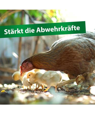 R hnfried Vitamine ADEC 250 ML | Concentr de vitamines | Compl ment Alimentaire pour l'apport en vitamines des Poulets des Pigeons et de la volaille - Buy Online on GoSupps.com