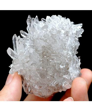Natural Crystal Rough 115g White Chrysanthemum-Like Quartz Crystal Cluster - Buy Online on GoSupps.com