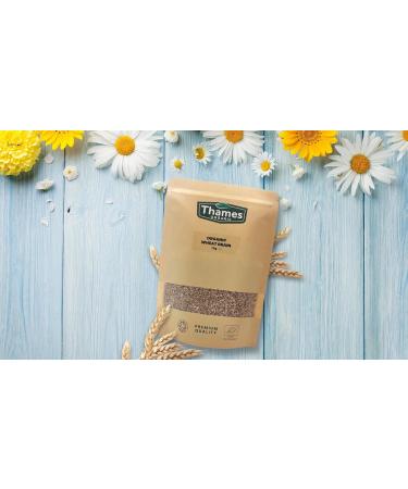 Thames Organic 1kg Organic Wheat Grain - Certified Non-GMO Vegan, Additive and Preservative-Free in Resealable Bag - Buy Online on GoSupps.com
