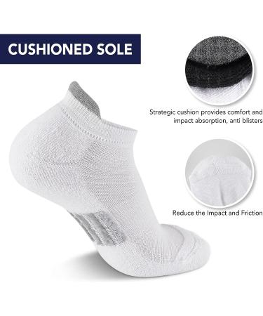 ACTINPUT Men's Anti-Blister Athletic Performance No Show Running Socks 7 Pairs - White, Size L-XL - Buy Online on GoSupps.com