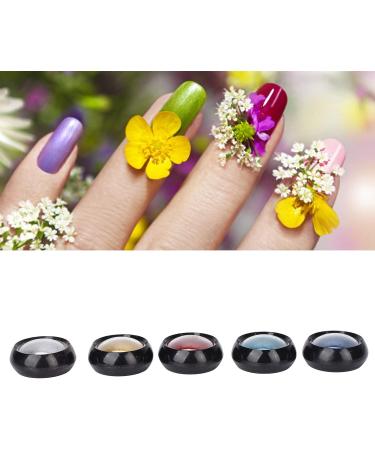 5 Colors Nail Art Glitter Mirror Powder Holographic Nail Pigment with 5 Sponge Sticks Metallic Chrome Nail Powder for Nail Art Decor - Buy Online on GoSupps.com