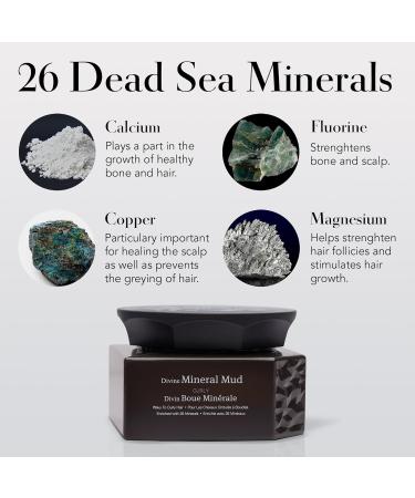 Saphira Divine Curls Mineral Mud 500ml - Best International Shipping for Curly Hair Care - Buy Online on GoSupps.com