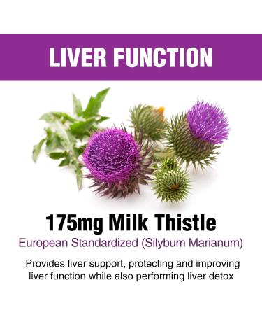 Natural Liver Support & Detox Supplements with Milk Thistle, Artichoke & Turmeric - Healthy Liver Function & Repair - Vegetarian Capsules - 30 Day Supply - Buy Online on GoSupps.com