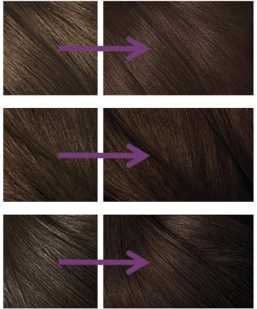 Clairol Nice'n Easy No Ammonia Hair Dye 82 Dark Warm Brown - 1 Count Pack - Buy Online on GoSupps.com