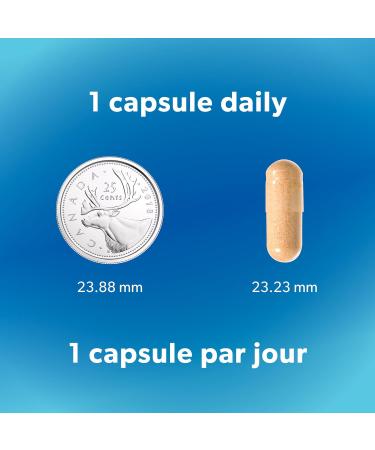 Preferred Nutrition Super Stress B-50 Complex with Ashwagandha Extract 120 Capsules Formulated to Support Stress Management Sensoril Ashwagandha - Buy Online on GoSupps.com