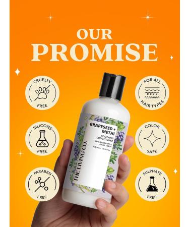 Soothing Conditioner for Dandruff & Itchy Scalp - Grapeseed & Methi 300ml | Buy Internationally - Buy Online on GoSupps.com