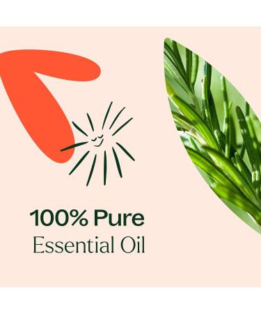 Buy Plant Therapy Eucalyptus Mint Essential Oil Blend 10 mL - 100% Pure Invigorating Aromatherapy for Diffusers & Home Use - Buy Online on GoSupps.com