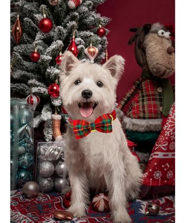 Lionheart Glory Christmas Checkered Dog Collar & Shoes - Adjustable Bowtie Collar for Small Dogs - Red-Green Checkered | Comfortable Fall Loop (1 Pack) - Buy Online on GoSupps.com