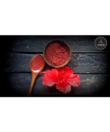ECH Naturevibe Botanicals Organic Hibiscus Powder 100gms - Buy Online on GoSupps.com