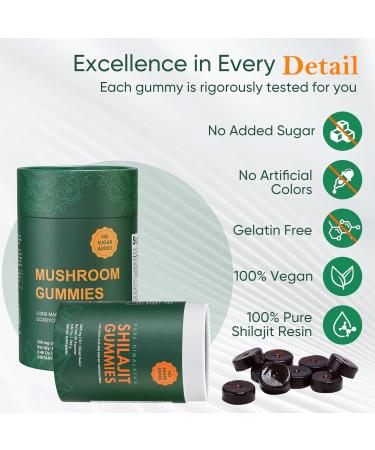 Xuore Bundle of Himalayan shilajit &Mushroom Gummies Supplement 3000 mg shilajit Lions Mane Reishi Cordyceps no Added Sugar lab Tested 75%+ fulvic Acid 92+ Minerals One Supplement(1 Package). - Buy Online on GoSupps.com