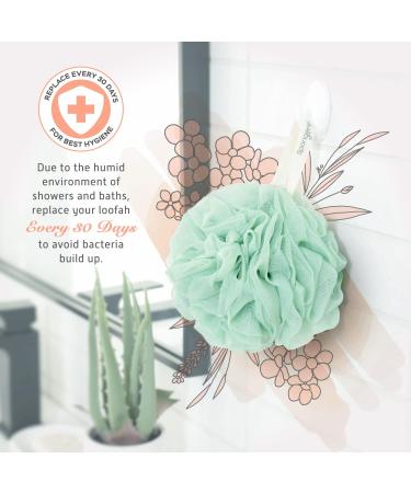 Spongentle Deep Cleansing Loofah Sponge 60g (Pack of 4) - Bath and Shower Exfoliating Body Scrubber for Men and Women - Buy Online on GoSupps.com