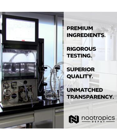 Nootropics Depot Vitamin D3 + K2 with Vitamin C Tablets | 60 Count | Cholecalciferol + Menaquinone-4 (MK-4) | Mood & Bone Health | Healthy Calcium Absorption 1 Count (Pack of 60) - Buy Online on GoSupps.com