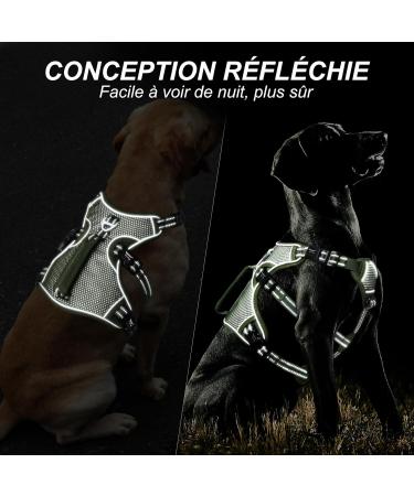 Heele Reflective Dog Dishes & Harness | Breakout Buckle Robust Handle Panic Crockery - Perfect Fit in Green - Buy Online on GoSupps.com
