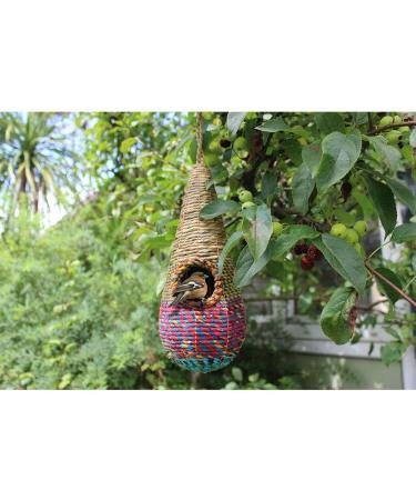 Artisan Nester Tahera - The Wild Bird Nester - Fair trade Single - Buy Online on GoSupps.com