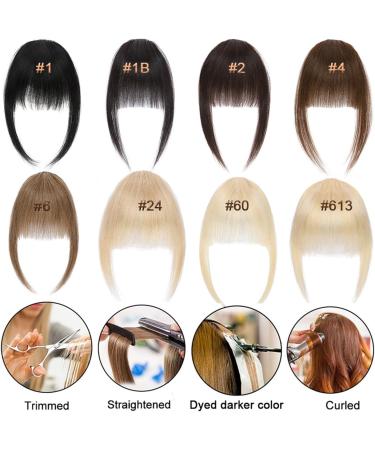 Bangs Hair Clip Bangs with Temples Real Human Hair Light Fringe Bangs Natural Clip Hair Piece for Women Girls Natural Bangs Clip in Hair(Color:#1B) - Buy Online on GoSupps.com