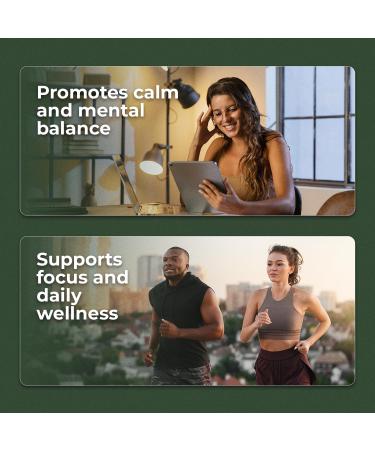 Ashwagandha Calm & Relax Gummies with Vitamin B6 Lemon Balm GABA & L-Glutamine 60 Gummies Red Berries Flavor Improve Sleep Stress Relief & Mood Vegan Gluten-Free Non-GMO - Buy Online on GoSupps.com