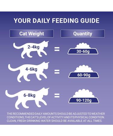 Purina ONE Adult Dry Cat Food Coat & Hairball Rich in Chicken 750g Pack of 4 Chicken 750 g (Pack of 4) - Buy Online on GoSupps.com