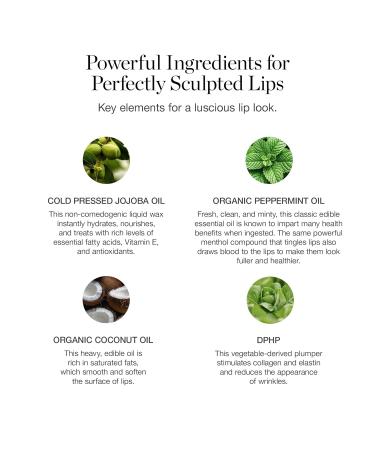 Ogee Tinted Sculpted Lip Oil Linnea Linnea - Shimmery Peach 1 Count (Pack of 1) - Buy Online on GoSupps.com