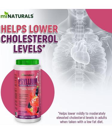 Sugar Free Psyllium Husk Powder (420g - 70 Doses - Berry) Helps with Constipation Weight Loss Lowering Cholesterol - Natural Source by miNATURALS - Buy Online on GoSupps.com