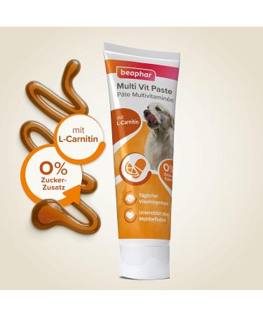 Beaphar Multi-Vitamin Paste for Dogs - 100g (Pack of 2) | Premium Dog Supplements for Health & Vitality - Buy Online on GoSupps.com