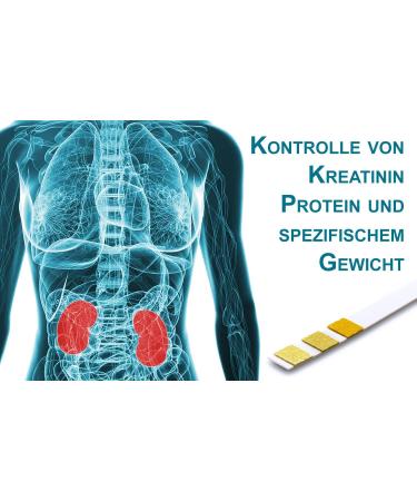 One+Step Kidney Test - 5 Urine Test Strips for Creatinine Protein & Specific Gravity | Fast International Shipping - Buy Online on GoSupps.com