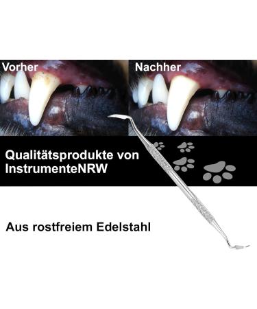 Stainless Steel Dogs Sichel Scaler Tartar Remover - Pet Tooth Cleaning Alternative Type 17 - Buy Online on GoSupps.com