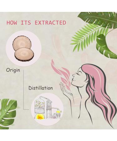 2-Pack 100% Pure Organic Hinoki Essential Oil - Natural Aroma for Diffusers Spa Yoga & Massage - Chamaecyparis Obtusa - Buy Online on GoSupps.com