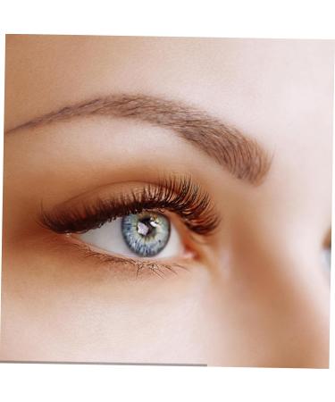 POPETPOP 5 Pairs Curling False Eyelashes Makeup Lashes 5d False Lash Extension Tools Segmented False Eyelashes Faux Eyelashes Eye Lashes Thick Eyelash No Slim Chemical Fiber Miss Adhesive - Buy Online on GoSupps.com