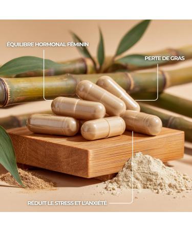 Shatavari - Vitalit & quilibre - Extrait Concentr 500 mg 60 G lules - Buy Online on GoSupps.com