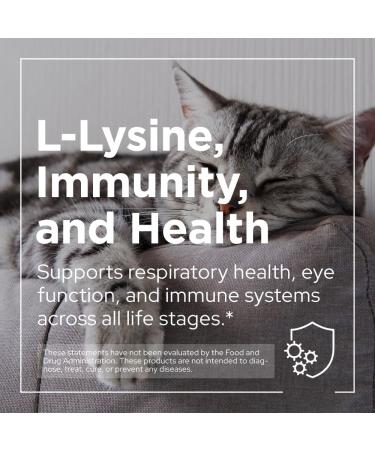 PETPAL L-Lysine Immune and Respiratory Support Supplement for Cats | Pure Bioactive Lysine + | Eye Function Runny Nose Sneezing Feline Conditions | Easy to Serve | Cats of All Ages | 4oz / 120g WT - Buy Online on GoSupps.com