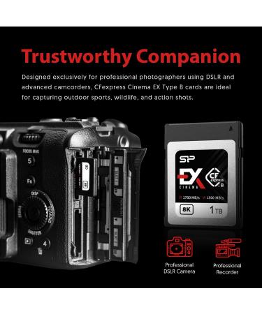 Silicon Power 1TB Cinema EX CFexpress Type B Memory Card | 1700MB/s Read Speed | 350MB/s Write Speed - Buy Online on GoSupps.com