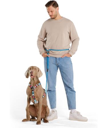 Hands-Free Dog Leash - 2m Adjustable Belly Belt for Running & Jogging | 3-in-1 Training & Hunting Leash for All Dog Sizes - Touline Petrol - Buy Online on GoSupps.com