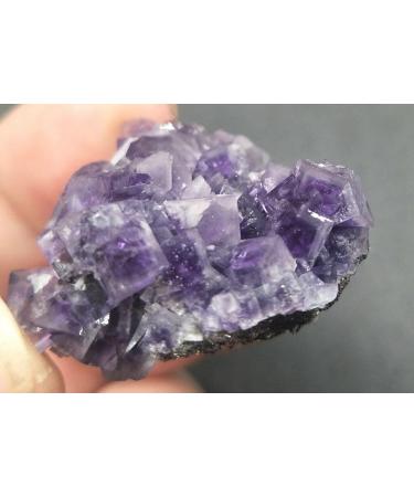 26g Rare Transparent Purple Cube Fluorite Crystal Specimen/China ningxiao - Buy Online on GoSupps.com