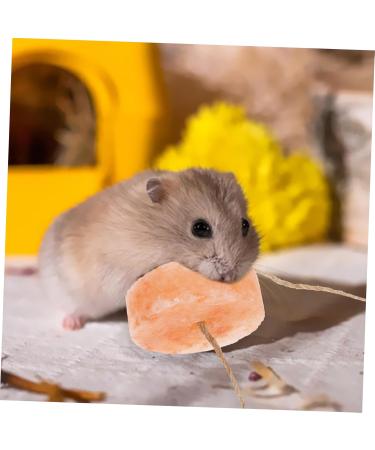 Kisangel Pet Salt Block Hamster Supply Salt Brick for Rabbit Nutrition Hamster Animals Salt Rabbit Salt Brick Salt Blocks Rabbit Licking Salt Safety Rabbit Salt Creative Rabbit Salt - Buy Online on GoSupps.com