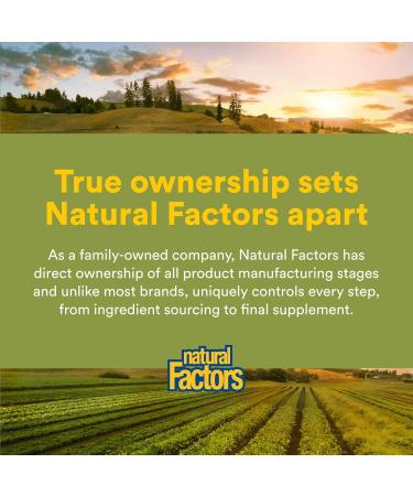 NATURAL FACTORS Milk Thistle Extract 250 Mg 90 CT 90 Count (Pack of 1) - Buy Online on GoSupps.com