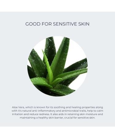 Alana Mitchell Daily Vitamin C Serum - Hydrating Anti-Aging Face Moisturizer for All Skin Types - Natural Ingredients - 2 oz - Buy Online on GoSupps.com