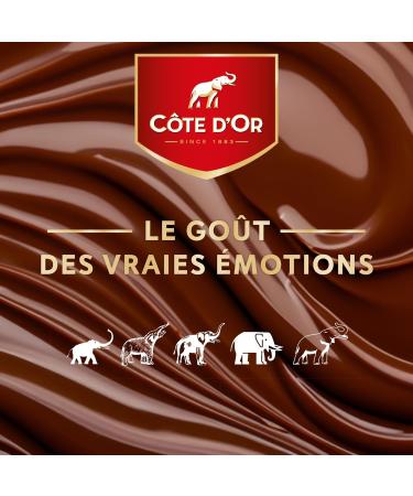 C te d'Or - Milk Chocolate and Whole Hazelnut Stick - Chocolate Bars with Cocoa 100% Sustainable - Display of 32 Bars (45g) - Buy Online on GoSupps.com