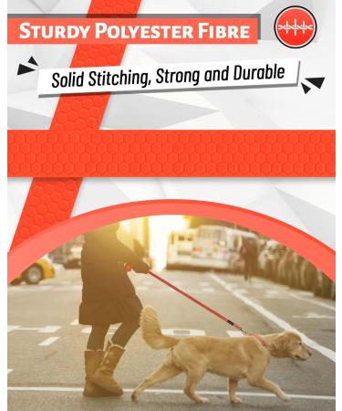 Looxmeer Rubberized Tow Lines for Dogs - 3m/5m/7m/10m/15m/20m/30m Leash | Durable Neon Orange Leash for Small & Medium-Sized Dogs - Buy Online on GoSupps.com