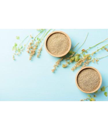 Organic White Quinoa Flour 8 lbs - Non-GMO, Fine Ground, Vegan & Kosher - High Protein & Fiber for Baking & Thickening - Buy Online on GoSupps.com