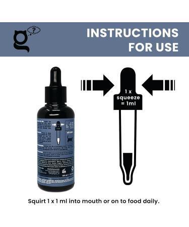 THE PET GURU Joint Guru Mobility Supplement for Cats 100 ml Naturally Supports Flexibility and Vitality Cat Health Joints Tendons Hips Anti-Inflammatory - Buy Online on GoSupps.com